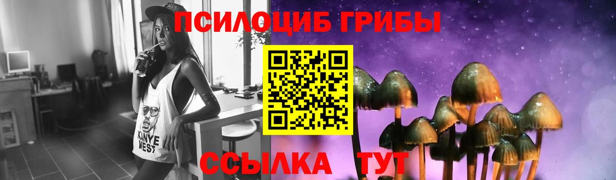 Псилоцибиновые грибы Psilocybine cubensis  Вход с VPN  Псилоцибиновые грибы Psilocybine cubensis  Самара 