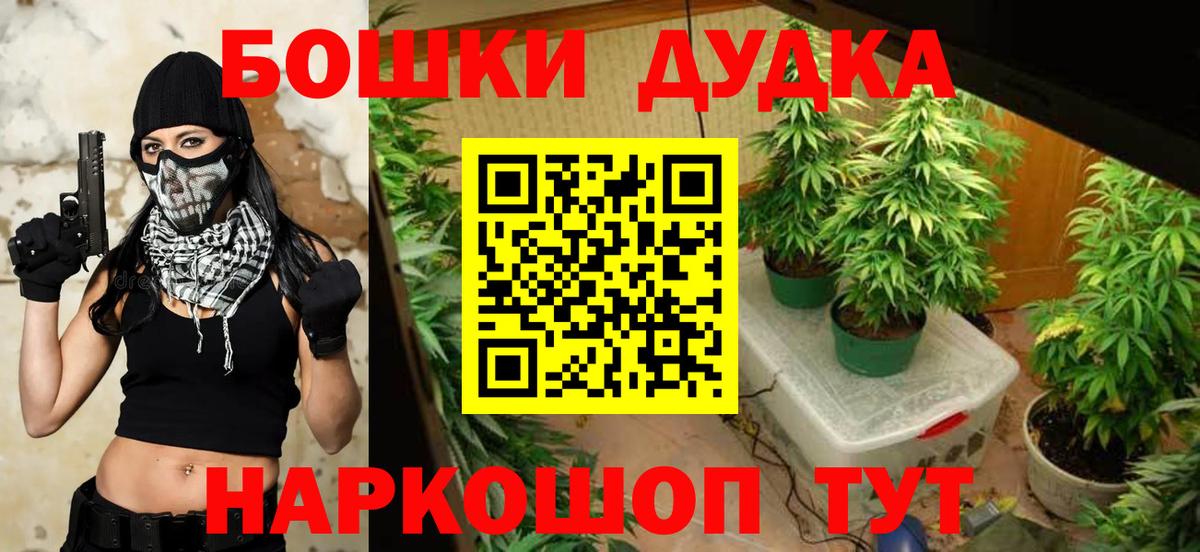 МАРИХУАНА план  Бошки марихуана сатива  Вход с VPN  Самара  Каннабис Bruce Banner 